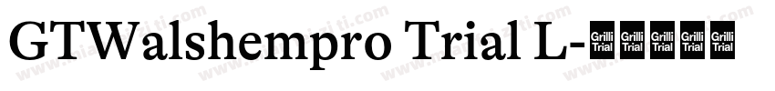 GTWalshempro Trial L字体转换